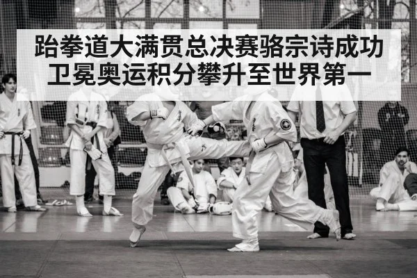 taekwondo competition