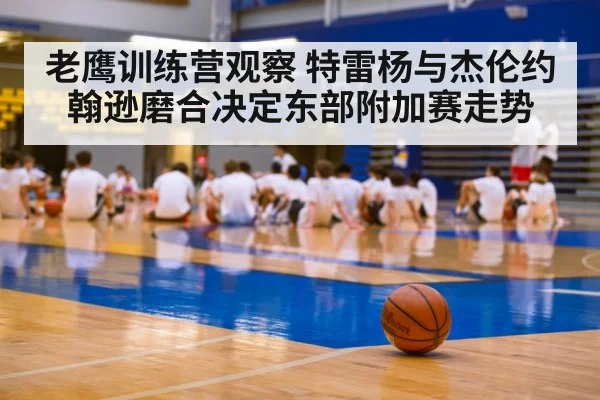 老鹰训练营观察 特雷杨与杰伦约翰逊磨合决定东部附加赛走势（kaiyun）